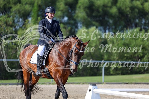 2025 - Dressage Festival - Saturday July 5th - 00959