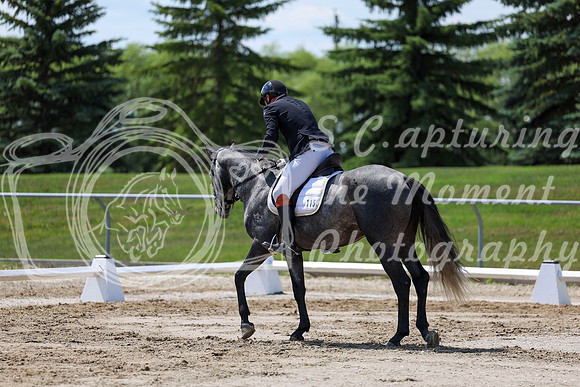 2025 - Dressage Festival - Saturday July 5th - 09238
