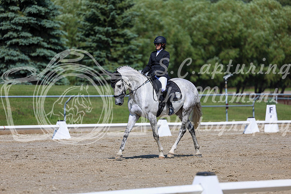 2025 - Dressage Festival - Saturday July 5th - 04751