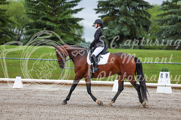 2025 - Dressage Festival - Sunday July 6th - 00842