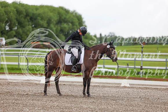 2025 - Dressage Festival - Sunday July 6th - 01631