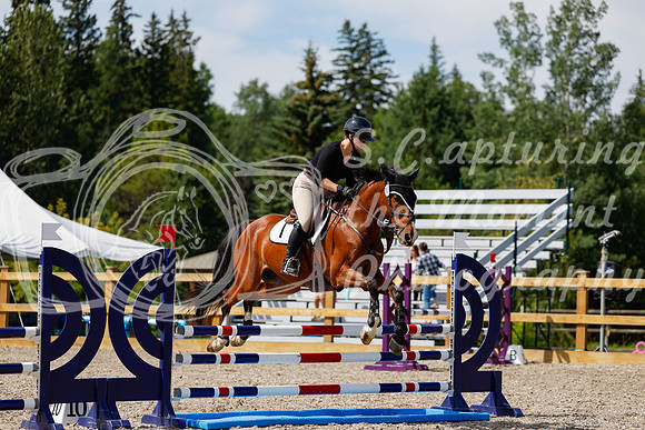 2025 - Haylee - Picco Horse Show - Thursday July 24th 02247