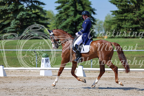 2025 - Dressage Festival - Saturday July 5th - 04259