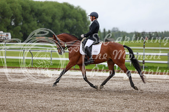 2025 - Dressage Festival - Sunday July 6th - 06576