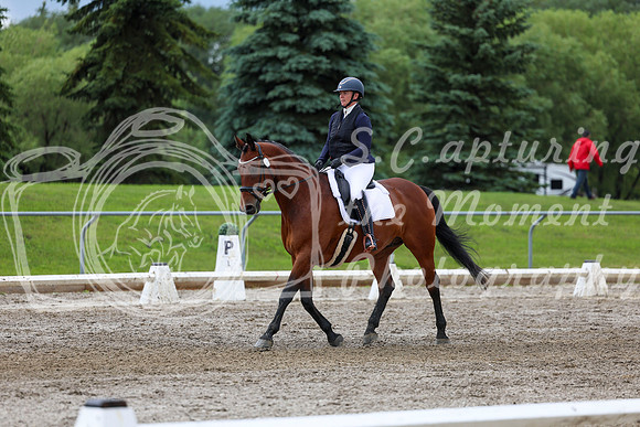 2025 - Dressage Festival - Sunday July 6th - 11789