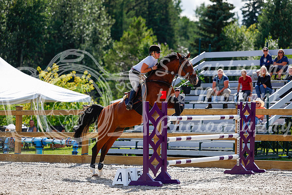2025 - Haylee - Picco Horse Show - Friay July 25th 05977