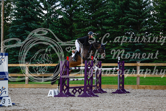 2025 - Haylee - Picco Horse Show - Sunday July 27th 06937