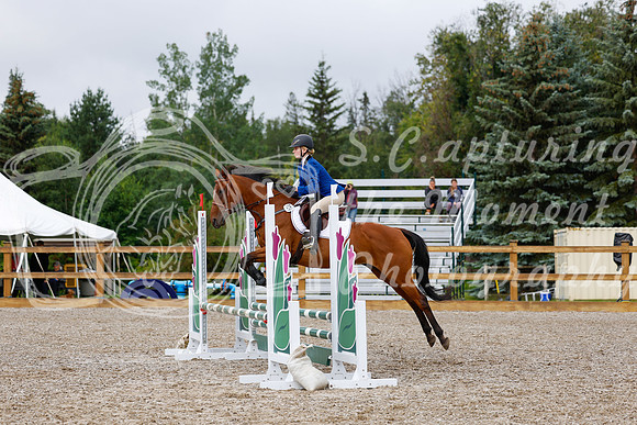 2025 - Haylee - Picco Horse Show - Sunday July 27th 01150