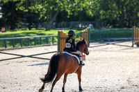 2025 - Mara - Rocky Mountain Classic I - Saturday August 9th - 04022