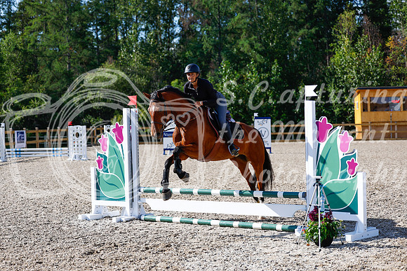 2025 - Haylee - Picco Horse Show - Thursday July 24th 00876