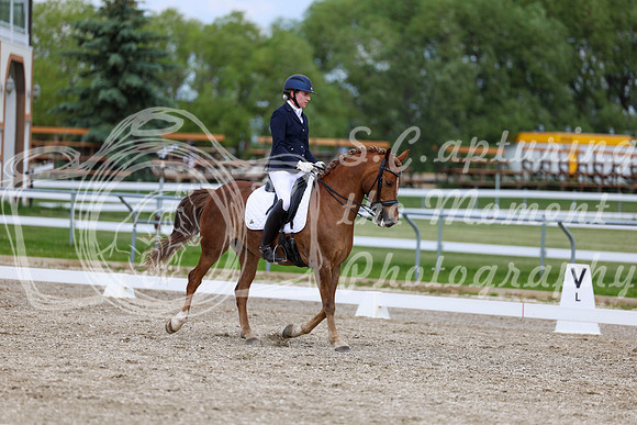 2025 - Dressage Festival - Saturday July 5th - 11854