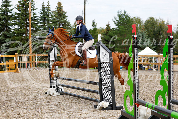 2025 - Haylee - Picco Horse Show - Saturday July 26th 01755