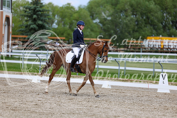 2025 - Dressage Festival - Saturday July 5th - 11852
