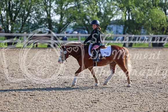 2025 - Dressage Festival - Saturday July 5th - 00033