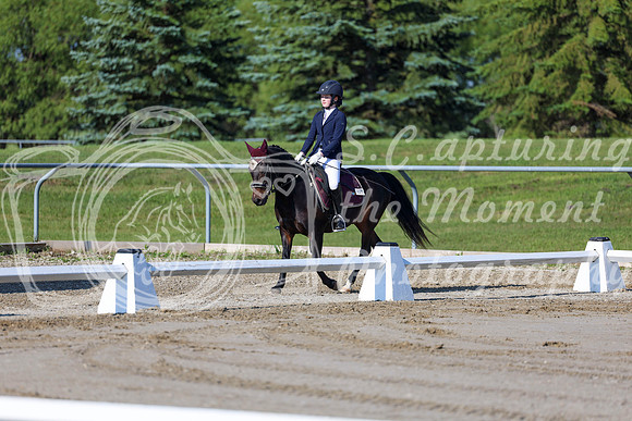 2025 - Dressage Festival - Saturday July 5th - 00641