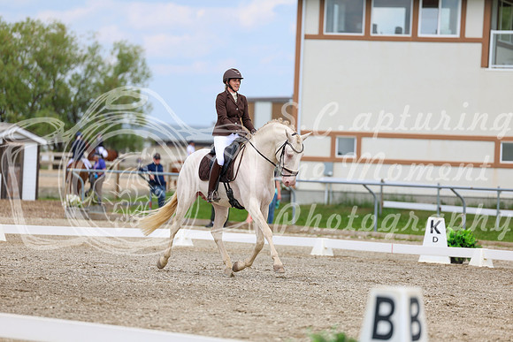 2025 - Dressage Festival - Saturday July 5th - 12076