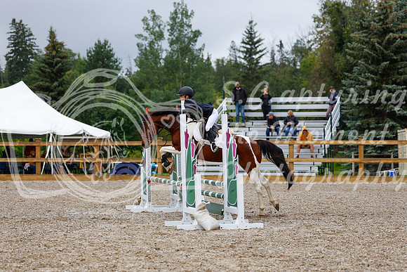2025 - Haylee - Picco Horse Show - Sunday July 27th 01448
