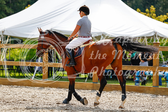 2025 - Haylee - Picco Horse Show - Saturday July 26th 08208