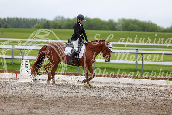 2025 - Dressage Festival - Sunday July 6th - 06165