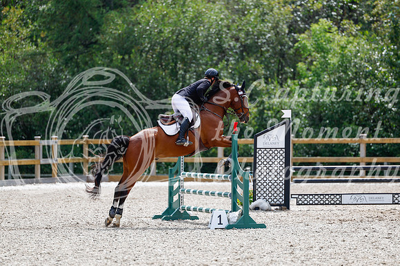2025 - Haylee - Picco Horse Show - Sunday July 27th 03935