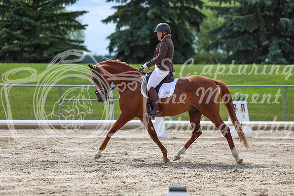 2025 - Dressage Festival - Saturday July 5th - 14151