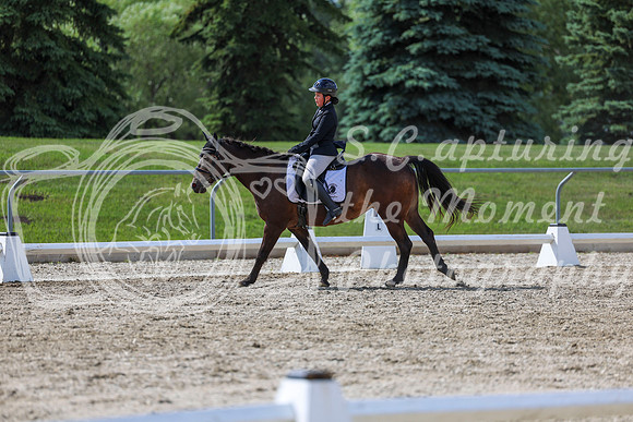 2025 - Dressage Festival - Saturday July 5th - 15537