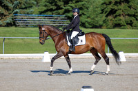 2025 - Dressage Festival - Saturday July 5th - 00432