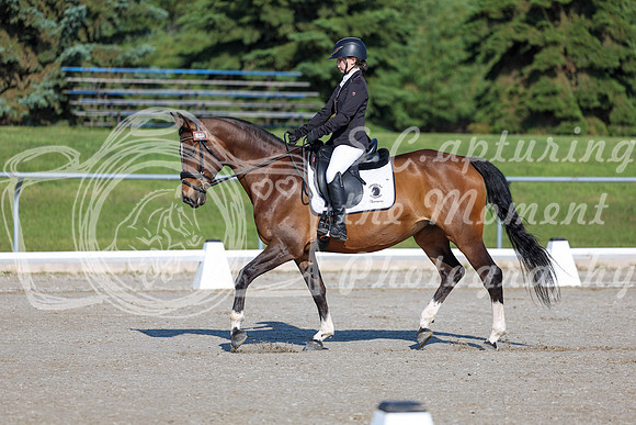 2025 - Dressage Festival - Saturday July 5th - 00432