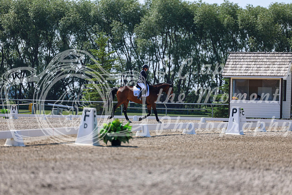 2025 - Dressage Festival - Saturday July 5th - 02367