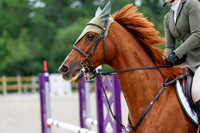 2025 - Haylee - Picco Horse Show - Saturday July 26th 04789