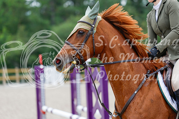 2025 - Haylee - Picco Horse Show - Saturday July 26th 04789