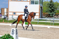 2025 - Dressage Festival - Saturday July 5th - 15507