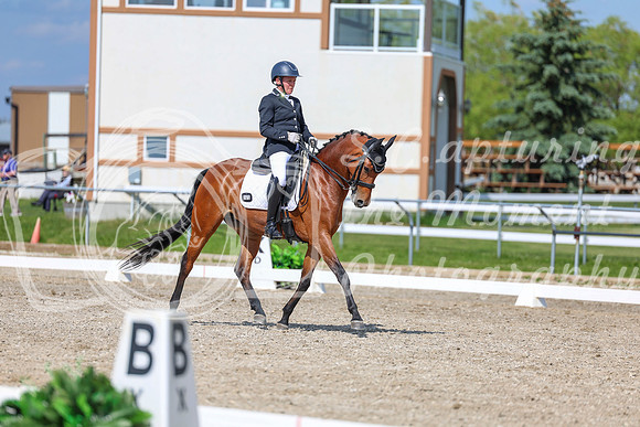 2025 - Dressage Festival - Saturday July 5th - 15507