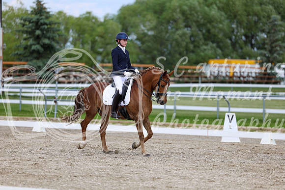 2025 - Dressage Festival - Saturday July 5th - 11817