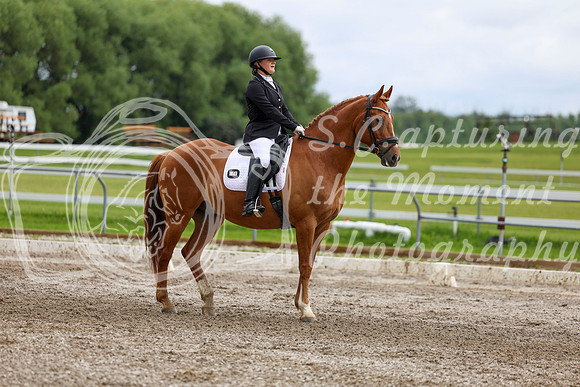 2025 - Dressage Festival - Sunday July 6th - 11094