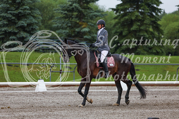 2025 - Dressage Festival - Sunday July 6th - 00619