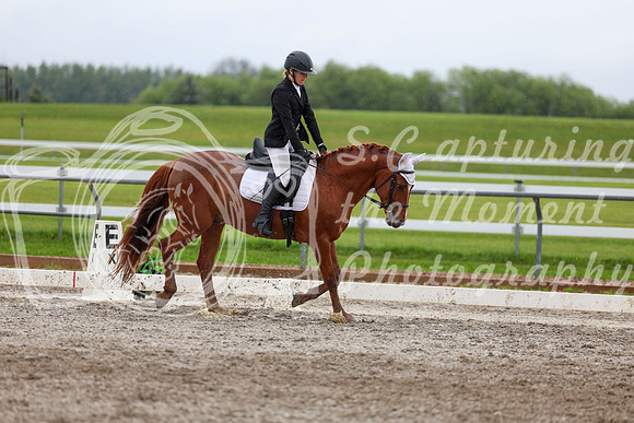 2025 - Dressage Festival - Sunday July 6th - 06164