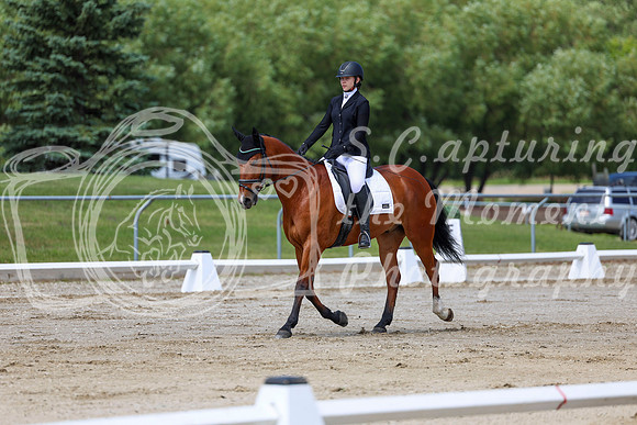 2025 - Dressage Festival - Saturday July 5th - 07291