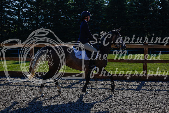 2025 - Haylee - Picco Horse Show - Thursday July 24th 00161