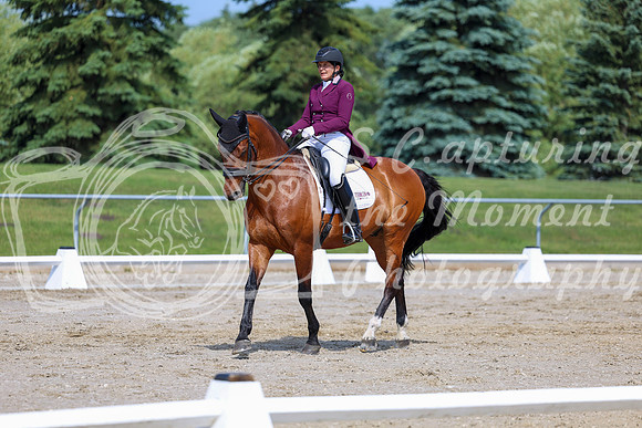 2025 - Dressage Festival - Saturday July 5th - 03209