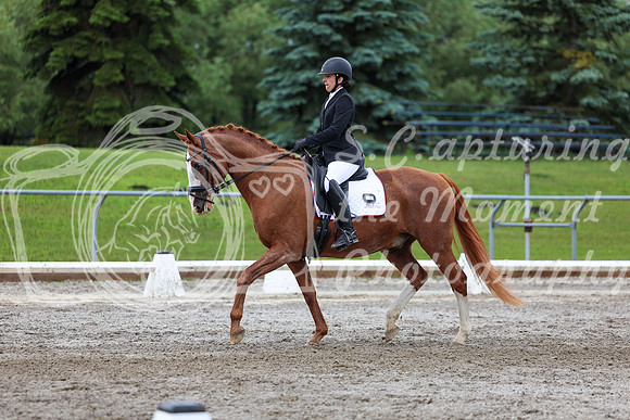 2025 - Dressage Festival - Sunday July 6th - 10405