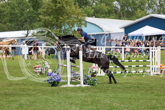 2025 - Shea - Teesdale - Friday July 25th - 07332