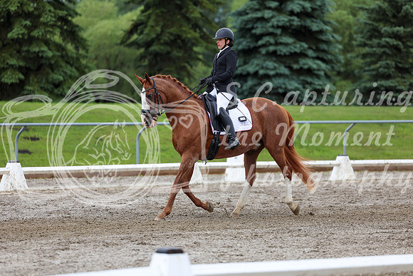 2025 - Dressage Festival - Sunday July 6th - 10399