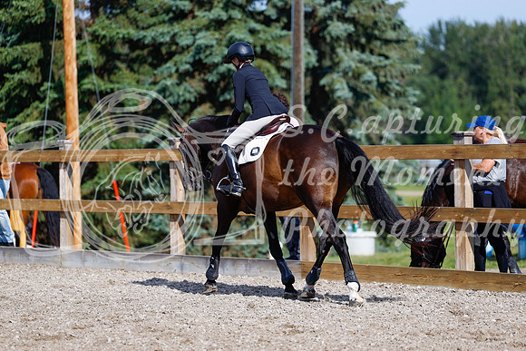 2025 - Haylee - Picco Horse Show - Thursday July 24th 01099