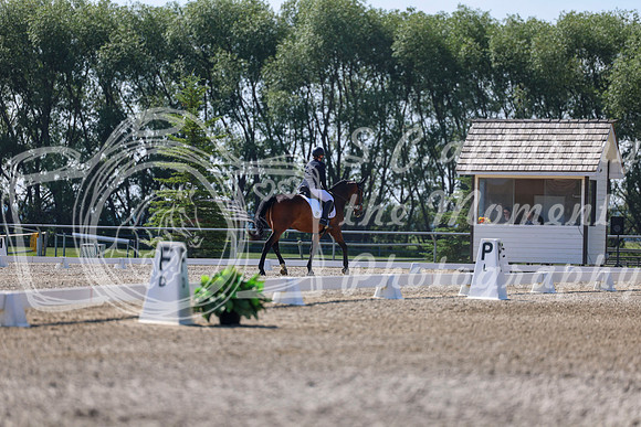 2025 - Dressage Festival - Saturday July 5th - 02355