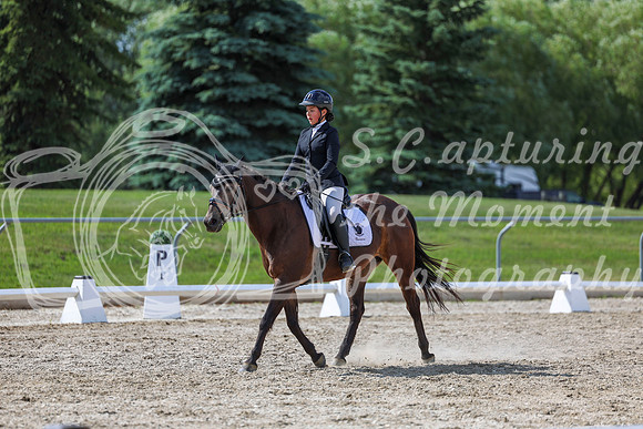 2025 - Dressage Festival - Saturday July 5th - 15456