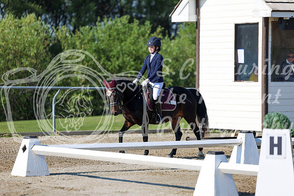2025 - Dressage Festival - Saturday July 5th - 00649