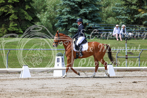 2025 - Dressage Festival - Saturday July 5th - 07982
