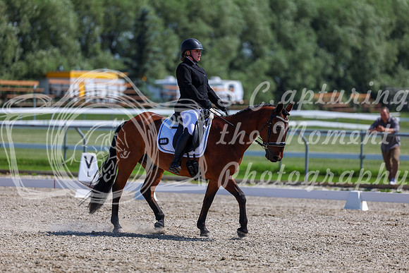 2025 - Dressage Festival - Saturday July 5th - 05163