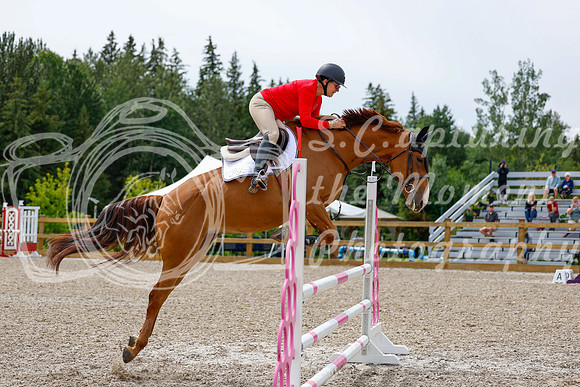 2025 - Haylee - Picco Horse Show - Friay July 25th 03305